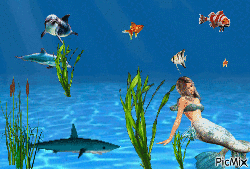 under the sea - GIF animate gratis