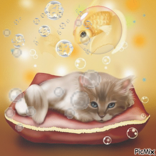 chat poisson - Free animated GIF