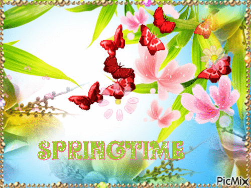 Spring - 無料のアニメーション GIF