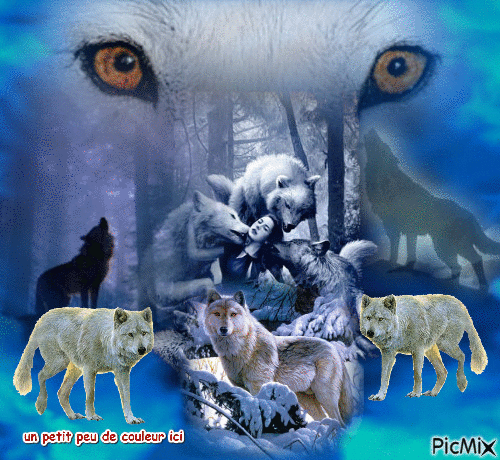 le loup de la nuit - 無料のアニメーション GIF
