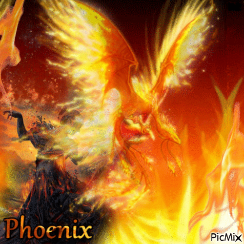 Phoenix reborn... - GIF animasi gratis