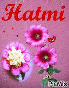 hatmi - Gratis animeret GIF