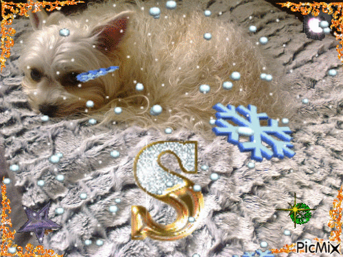 sneeuwprinsesje - Безплатен анимиран GIF