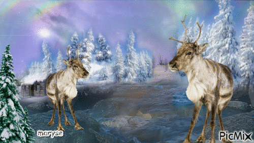 aurore boreale - Ingyenes animált GIF