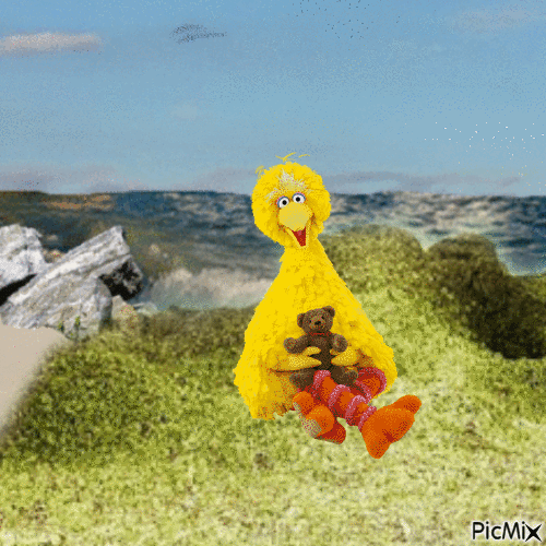 Big Bird and Radar at the beach - GIF animado gratis