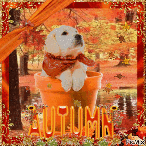 Autumn Puppy - GIF animé gratuit