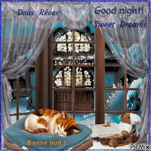 Bonne Nuit / Good Night  / Sweet Dreams - Gratis animeret GIF