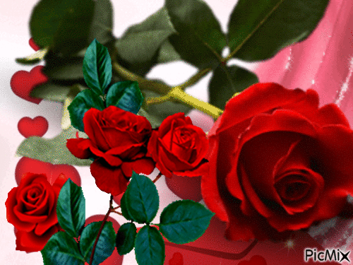 Roses - Ilmainen animoitu GIF