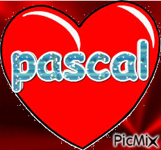 pascal - Free animated GIF