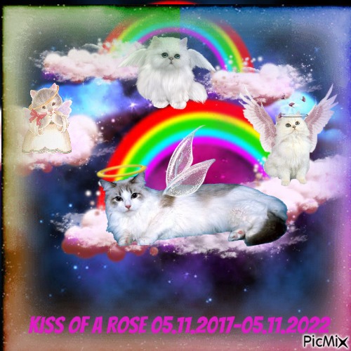Kiss Of A Rosé - gratis png