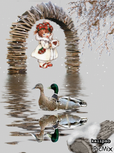 Winter ducks - Δωρεάν κινούμενο GIF
