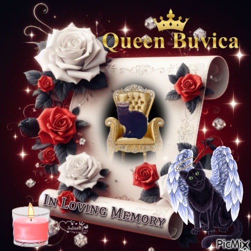 Queen Buvica - PNG gratuit
