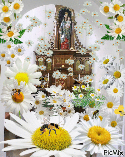 Our Lady of the Snows and Bees - GIF animé gratuit