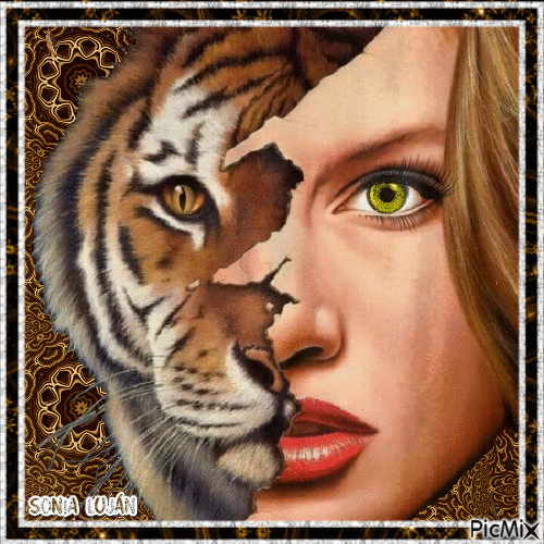 TIGER WOMAN CONTEST - Free animated GIF