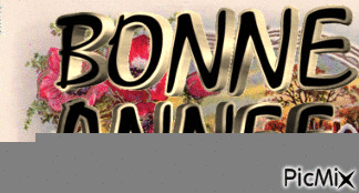 BONNE ANNEE - Zdarma animovaný GIF
