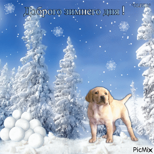 Доброго зимнего дня ! - Free animated GIF
