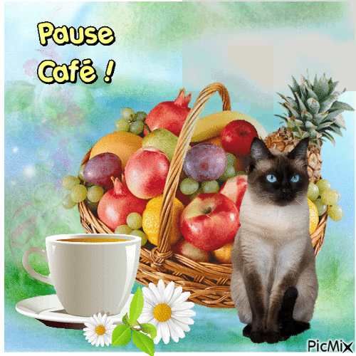 pause café - Darmowy animowany GIF