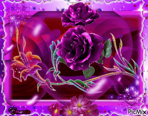 Rosa lilás - GIF animé gratuit