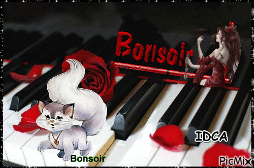 Bonsoir - Free animated GIF