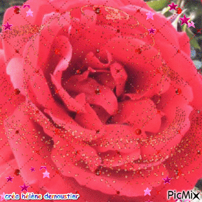 roses - Gratis animeret GIF