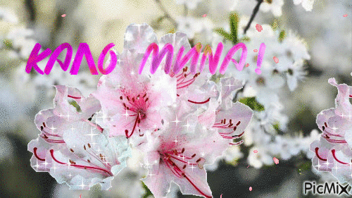 wishes for beautiful month - GIF animado gratis