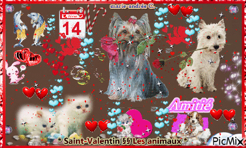 * Les animaux § La Saint-Valentin & Et, l'Amitié. - Free animated GIF