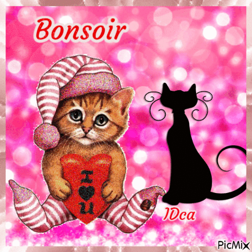 Bonsoir les chatons - Ücretsiz animasyonlu GIF