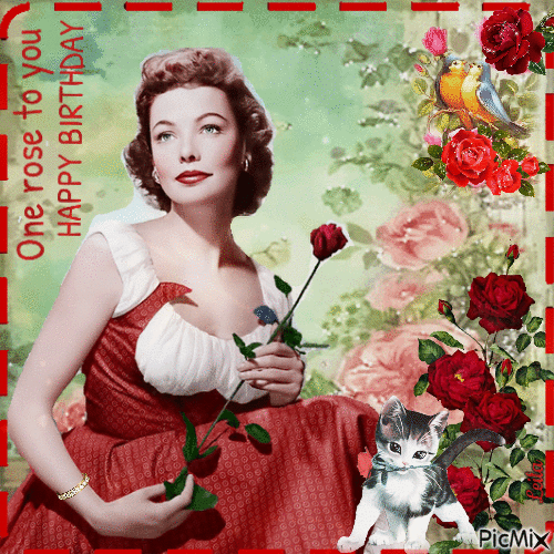 One rose ro you. Happy Birthday - Besplatni animirani GIF