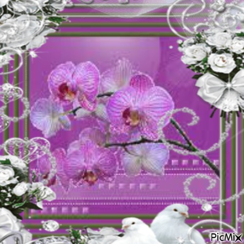 Orchidée dans joli cadre - δωρεάν png