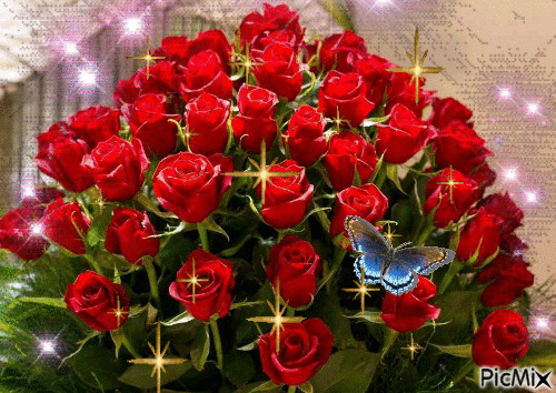 růže s motýlem - GIF animasi gratis