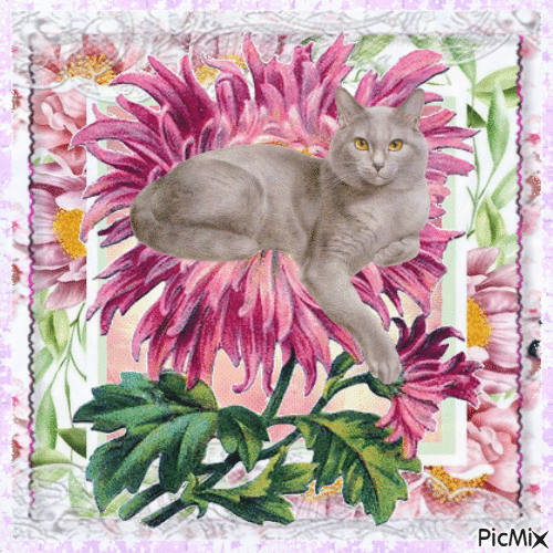 Cat on Flower - Безплатен анимиран GIF