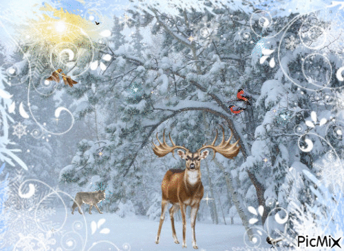 зимний лес - Безплатен анимиран GIF