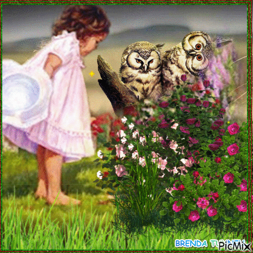 OWL CHILD - Бесплатный анимированный гифка