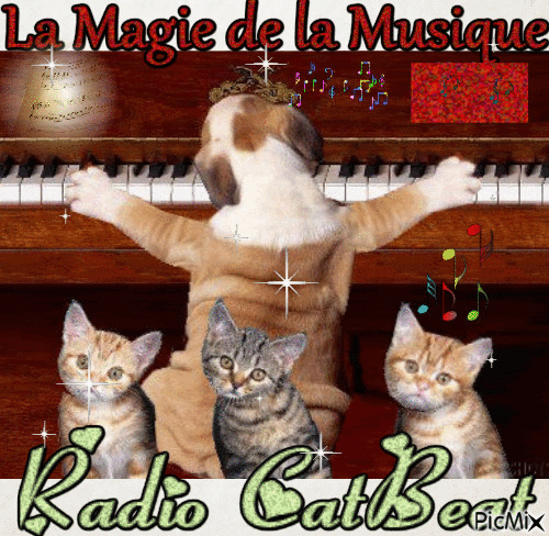 Radio CatBeat - Бесплатни анимирани ГИФ