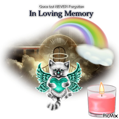 Gone But Never Forgotten - zdarma png