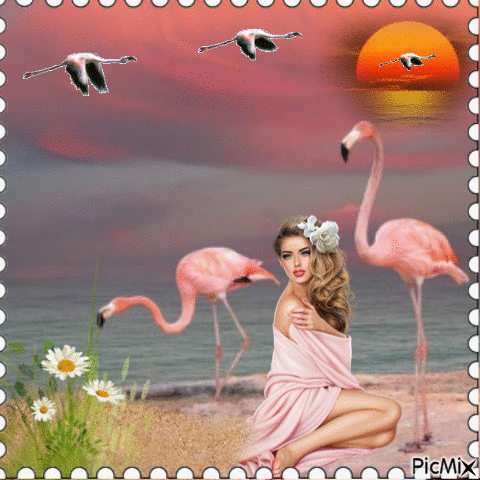 Flamingo - GIF animado gratis