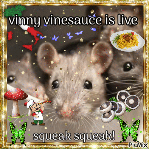 vinny vinesauce is live rat - 免费动画 GIF