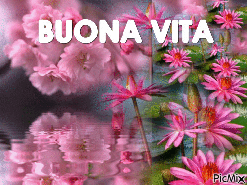 BUONA VITA - Бесплатный анимированный гифка