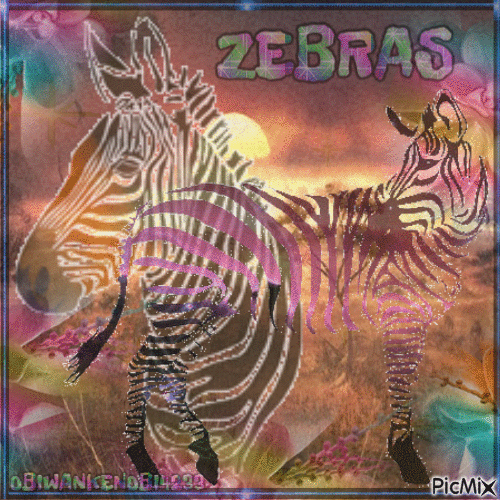 Flashy Zebras - Animovaný GIF zadarmo