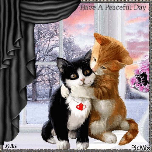 Have a Peaceful Day. Cats. Window. Winter - Безплатен анимиран GIF