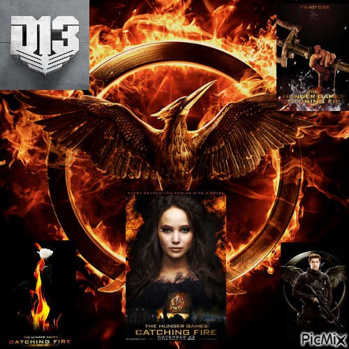 Hunger Games - darmowe png