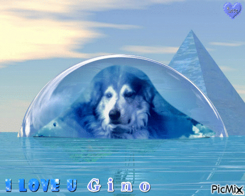 Gino - Ingyenes animált GIF