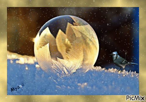 bulle gelée - GIF animado gratis