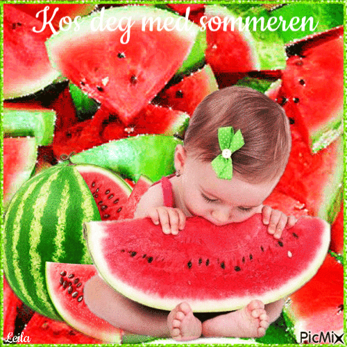 Enjoy your summer. Watermelon. A child - 無料のアニメーション GIF