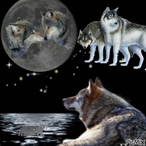 La nuit et les loups - Ilmainen animoitu GIF