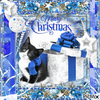 merry christmas blue cat - GIF เคลื่อนไหวฟรี