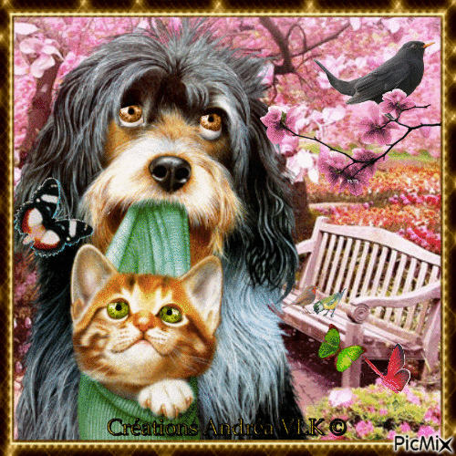 TENDRE COMPLICITE - CHAT ET CHIEN - Free animated GIF