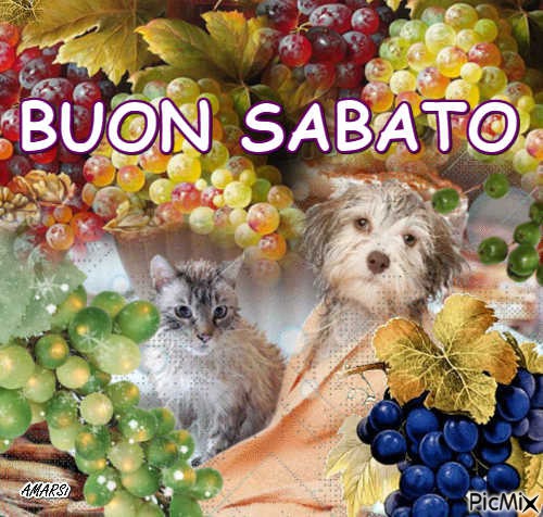 BUON SABATO - безплатен png
