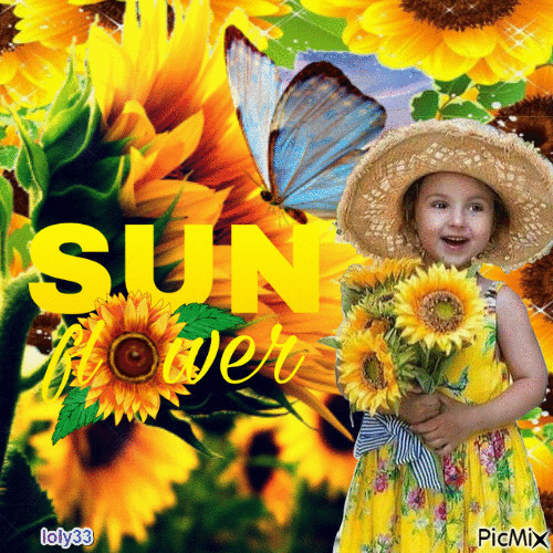 tournesol sunflower - Δωρεάν κινούμενο GIF
