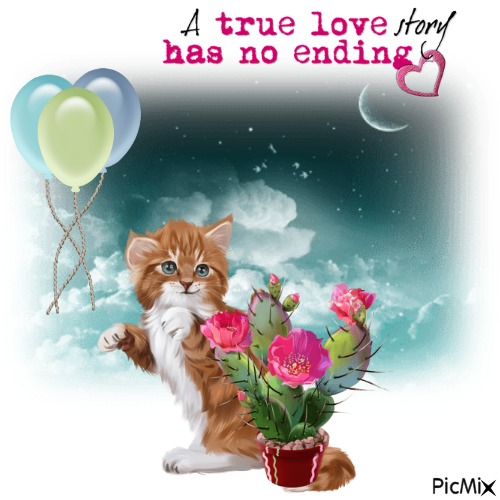 A True Love Story Has NO Ending - Free PNG
